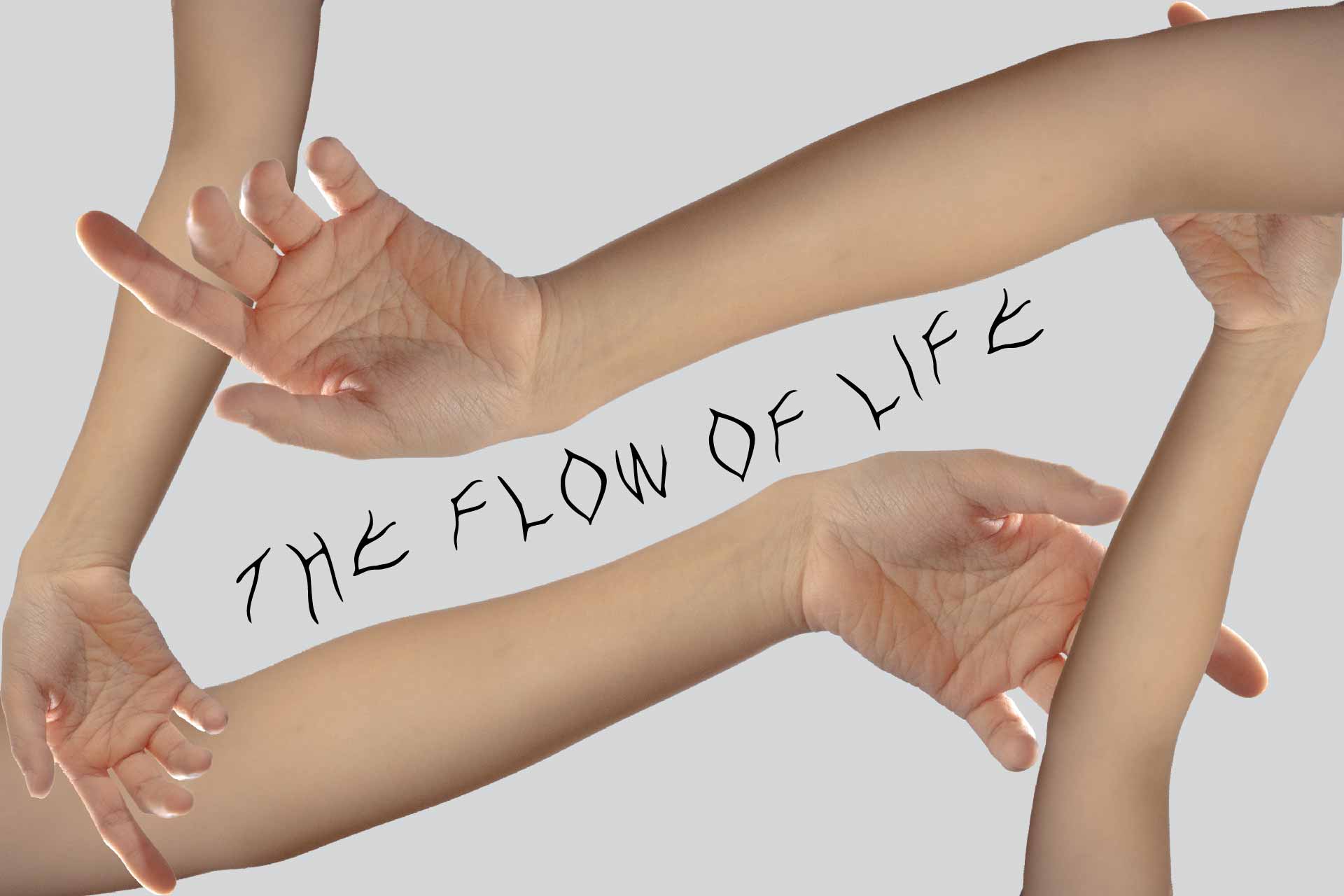 cover 1
