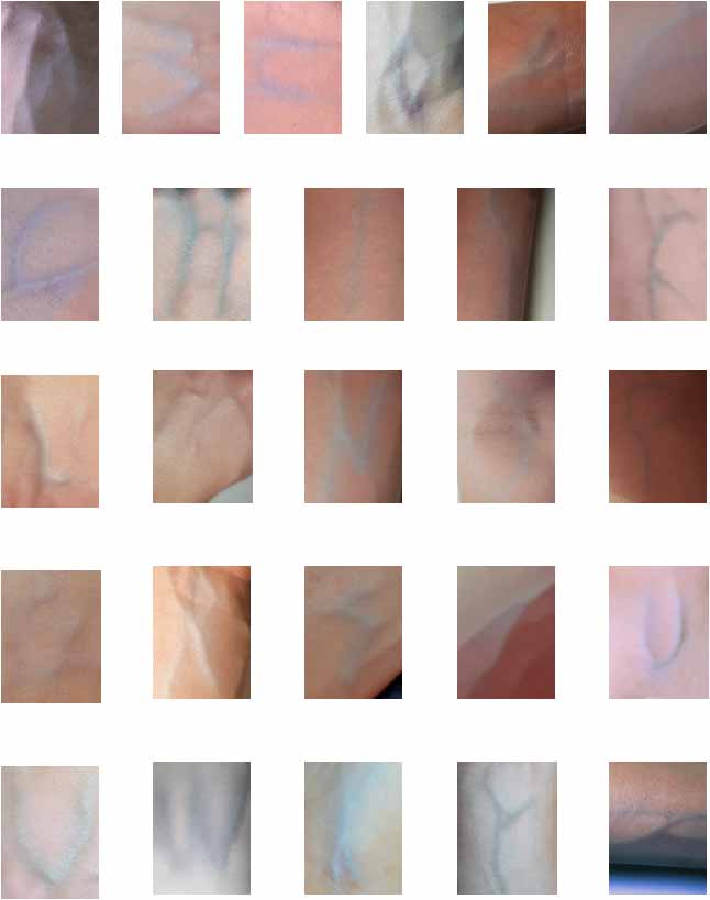 Vein Font